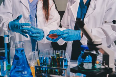 Bilimadamı laboratuarda tıbbi örnekleri mikro plakaya yerleştiriyor.