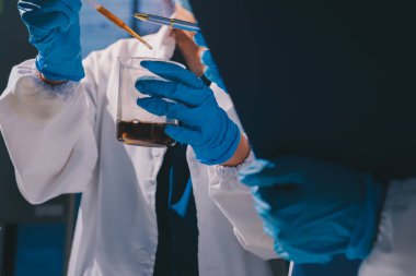 Bilimadamı laboratuarda tıbbi örnekleri mikro plakaya yerleştiriyor.