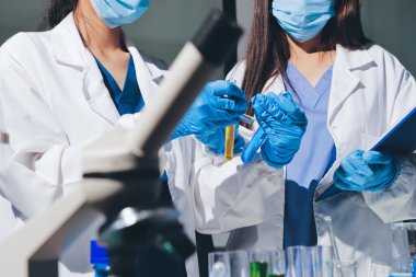 Bilimadamı laboratuarda tıbbi örnekleri mikro plakaya yerleştiriyor.