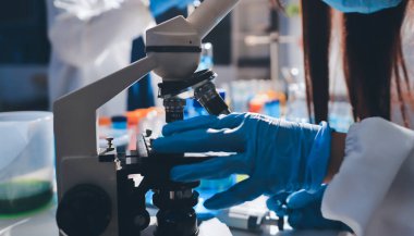 Bilimadamı laboratuarda tıbbi örnekleri mikro plakaya yerleştiriyor.