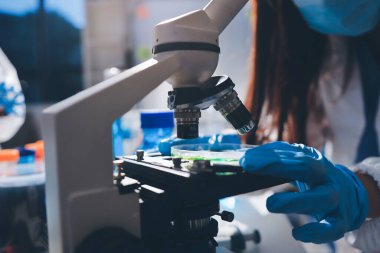 Bilimadamı laboratuarda tıbbi örnekleri mikro plakaya yerleştiriyor.