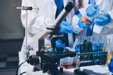 Bilimadamı laboratuarda tıbbi örnekleri mikro plakaya yerleştiriyor.