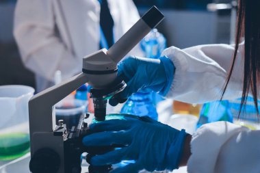 Bilimadamı laboratuarda tıbbi örnekleri mikro plakaya yerleştiriyor.