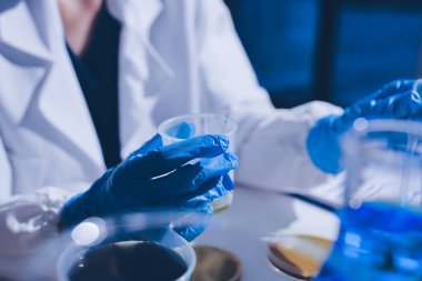 Bilimadamı laboratuarda tıbbi örnekleri mikro plakaya yerleştiriyor.