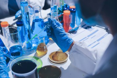 Bilimadamı laboratuarda tıbbi örnekleri mikro plakaya yerleştiriyor.