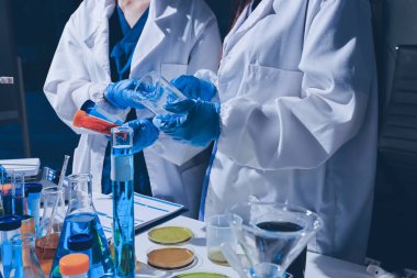 Bilimadamı laboratuarda tıbbi örnekleri mikro plakaya yerleştiriyor.