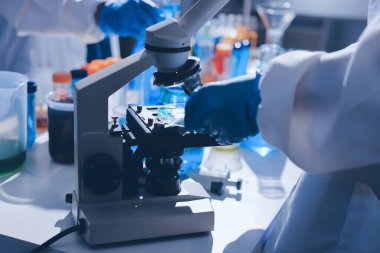 Bilimadamı laboratuarda tıbbi örnekleri mikro plakaya yerleştiriyor.