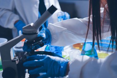 Bilimadamı laboratuarda tıbbi örnekleri mikro plakaya yerleştiriyor.