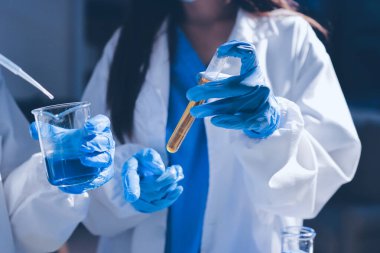 Bilimadamı laboratuarda tıbbi örnekleri mikro plakaya yerleştiriyor.