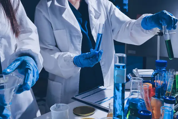 Bilimadamı laboratuarda tıbbi örnekleri mikro plakaya yerleştiriyor.