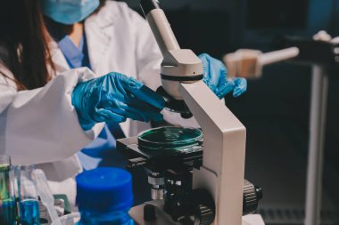 Bilimadamı laboratuarda tıbbi örnekleri mikro plakaya yerleştiriyor.