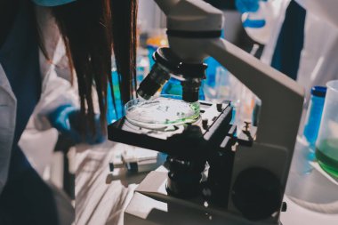 Bilimadamı laboratuarda tıbbi örnekleri mikro plakaya yerleştiriyor.