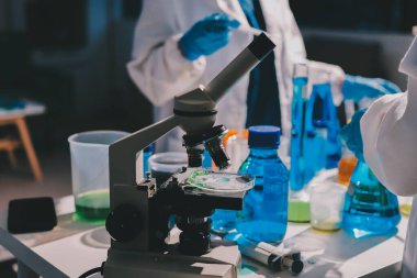 Bilimadamı laboratuarda tıbbi örnekleri mikro plakaya yerleştiriyor.