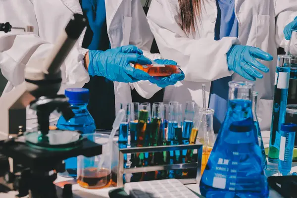 Bilimadamı laboratuarda tıbbi örnekleri mikro plakaya yerleştiriyor.