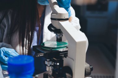 Bilimadamı laboratuarda tıbbi örnekleri mikro plakaya yerleştiriyor.