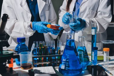 Bilimadamı laboratuarda tıbbi örnekleri mikro plakaya yerleştiriyor.