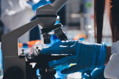 Bilimadamı laboratuarda tıbbi örnekleri mikro plakaya yerleştiriyor.