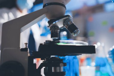 Bilimadamı laboratuarda tıbbi örnekleri mikro plakaya yerleştiriyor.