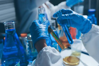 Bilimadamı laboratuarda tıbbi örnekleri mikro plakaya yerleştiriyor.