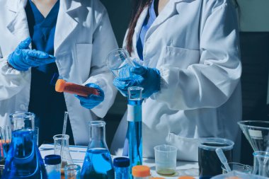 Bilimadamı laboratuarda tıbbi örnekleri mikro plakaya yerleştiriyor.