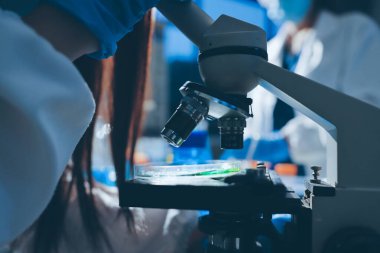 Bilimadamı laboratuarda tıbbi örnekleri mikro plakaya yerleştiriyor.