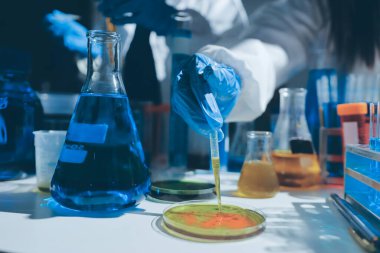 Bilimadamı laboratuarda tıbbi örnekleri mikro plakaya yerleştiriyor.