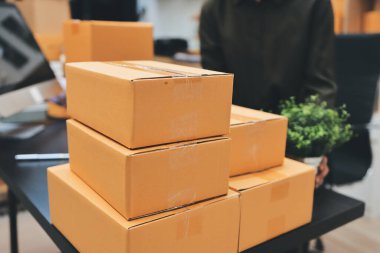 Küçük işletmeler kurma portresi KOBİ sahipleri ve iki Asyalı kadın online siparişleri kontrol ediyor. Ev işlerinde çalışan kutucuklarla çalışan ürünleri satıyorlar.