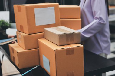 Küçük işletmeler kurma portresi KOBİ sahipleri ve iki Asyalı kadın online siparişleri kontrol ediyor. Ev işlerinde çalışan kutucuklarla çalışan ürünleri satıyorlar.