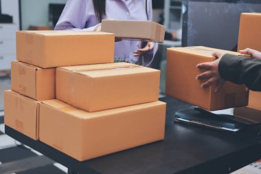 Küçük işletmeler kurma portresi KOBİ sahipleri ve iki Asyalı kadın online siparişleri kontrol ediyor. Ev işlerinde çalışan kutucuklarla çalışan ürünleri satıyorlar.