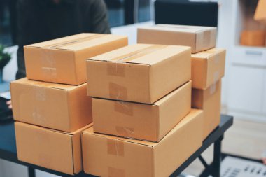 Küçük işletmeler kurma portresi KOBİ sahipleri ve iki Asyalı kadın online siparişleri kontrol ediyor. Ev işlerinde çalışan kutucuklarla çalışan ürünleri satıyorlar.