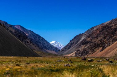 Mendoza 'daki dağların güzel manzarası