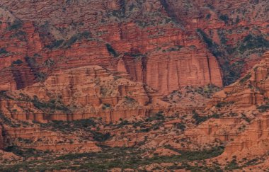 1991 yılında kurulan Sierra de las Quijadas Ulusal Parkı, arkeolojik ve paleontolojik alanlarla birlikte yarı Arid Chaco ve Monte de Llanuras y Mesetas ekolojik alanlarını korur. San Luis, Arjantin 'de, 73.533 hektarı kapsıyor..