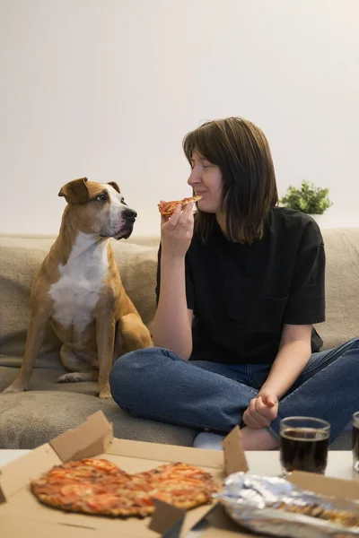 Щаслива Жінка Їсть Піцу Вдома Дивиться Свого Собаку Готові Страви Ліцензійні Стокові Фото