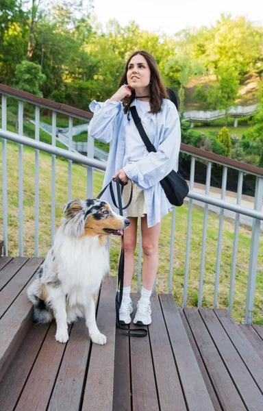 ขออสซ างหญ งสาวในสวนสาธารณะ หมาเล ยงแกะออสเตรเล าเง นในพ สวนสาธารณะเม — ภาพถ่ายสต็อก