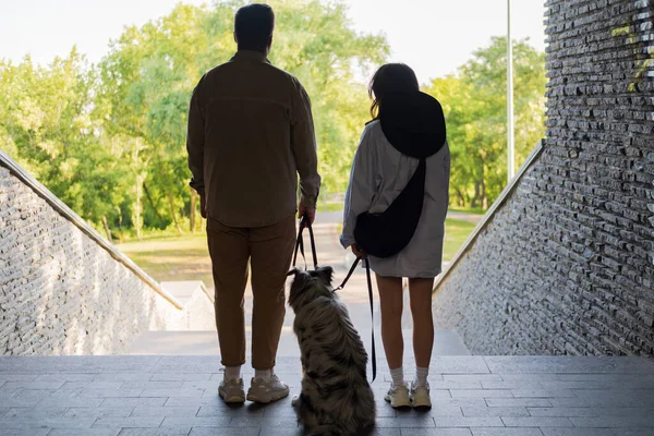 Dua Orang Dengan Anjing Luar Kembali Kamera Berjalan Dengan Anjing — Stok Foto