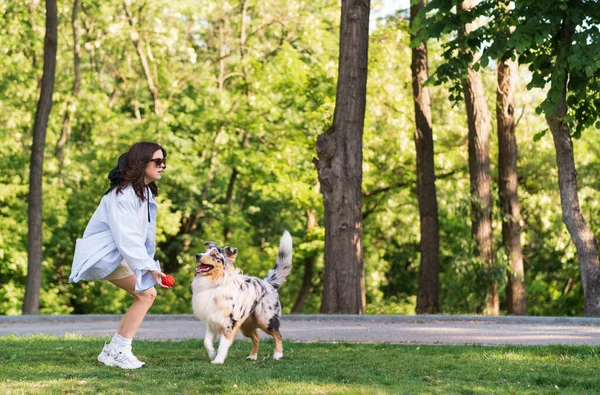 Wanita Muda Bermain Mengambil Dengan Anjing Gembala Aussie Taman Hijau — Stok Foto