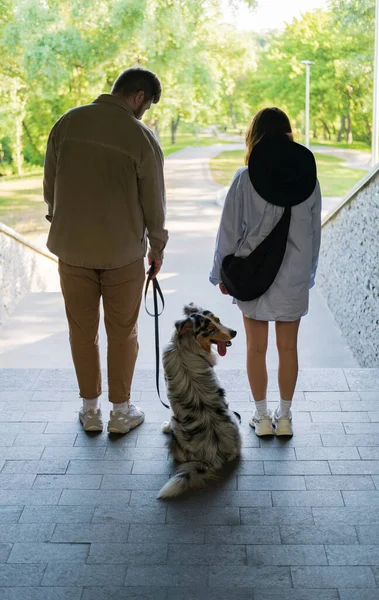 Dua Orang Dengan Anjing Luar Kembali Kamera Berjalan Dengan Anjing — Stok Foto
