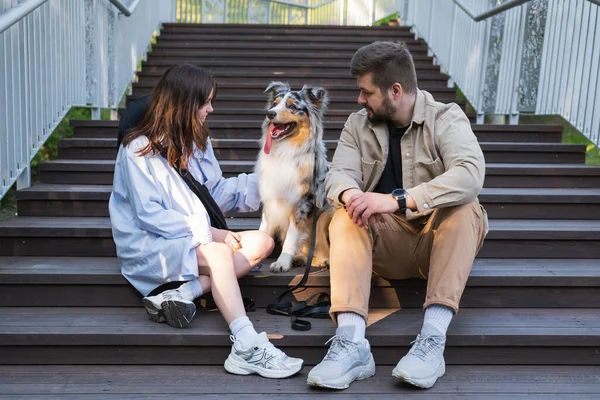 Wanita Muda Yang Bahagia Dan Pria Duduk Dengan Anjing Aussie — Stok Foto