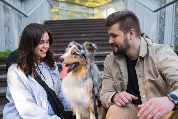 Pasangan Muda Yang Bahagia Dengan Anjing Gembala Mereka Luar Ruangan — Stok Foto