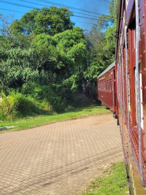 Klasik bir kahverengi tren, yemyeşil bir ormandan çıkar, yan açıyla yakalanır. Yeşilliğin canlı renkleri ve trenin nostaljik cazibesi macera ve keşif duygusunu çağrıştırıyor..