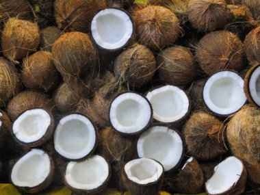 Bir pazar ortamında sergilenen canlı bir kahverengi hindistan cevizi koleksiyonu. Sulu beyaz etlerini ortaya çıkarmak için ikiye bölünmüş birkaç hindistan cevizi. Hindistan cevizi kabuklarının topraksı dokusu pürüzsüz, parlak içiyle çelişiyor..