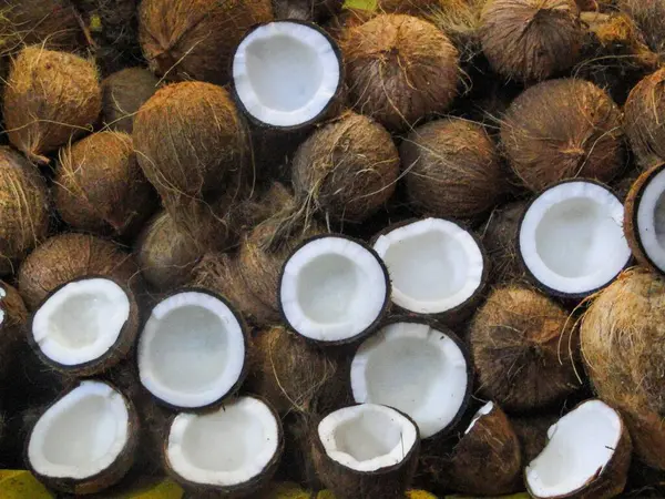 Bir pazar ortamında sergilenen canlı bir kahverengi hindistan cevizi koleksiyonu. Sulu beyaz etlerini ortaya çıkarmak için ikiye bölünmüş birkaç hindistan cevizi. Hindistan cevizi kabuklarının topraksı dokusu pürüzsüz, parlak içiyle çelişiyor..