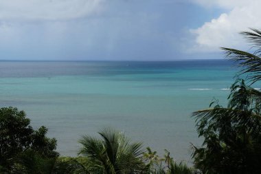 Aşağıdaki ağaçların yapraklarıyla deniz ufkunun manzarası
