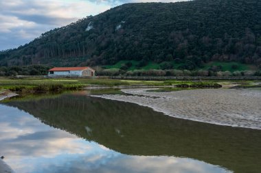 Huzurun Yansımaları: Huzurlu Göl kıyısında Bir Yalnız Ev