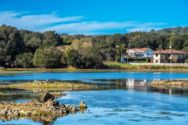 Serene Lakeside Doğanın Ortasında Çekilme Kucaklaşma