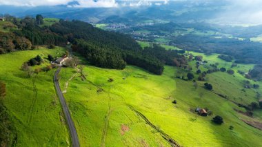 Yeşiller ve Ağaçlar Arasındaki Köy 'ün Hava Görüntüsü
