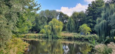 Huzurlu Su Kenarı: Huzurlu Göl Sahnesi