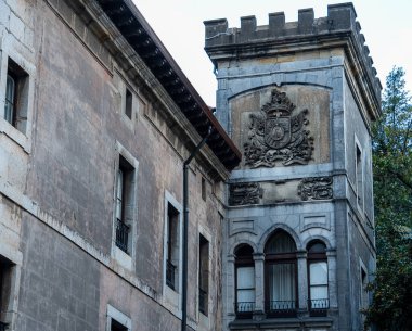 Doğanın Fısıltıları: Ormandaki Yosun Kaplamalı Bir Ağaca Yakın Çekim.