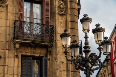 Doğanın Fısıltıları: Ormandaki Yosun Kaplamalı Bir Ağaca Yakın Çekim.