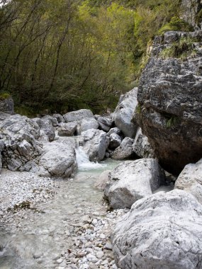 Kayalıklı Dağ Akıntısı: Doğal Nehir Detayı. Yüksek kalite fotoğraf